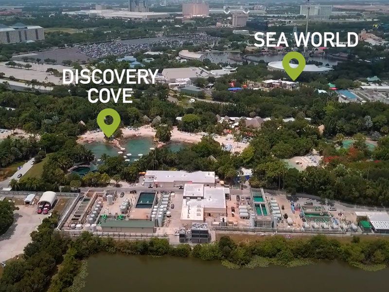 Casa no SeaWorld